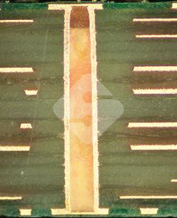 AG�콢��|�й�Ψһ�ٷ���վ